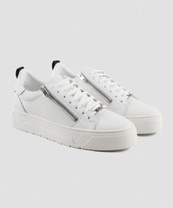 Cashmeresociety.shopf3f218d104 1